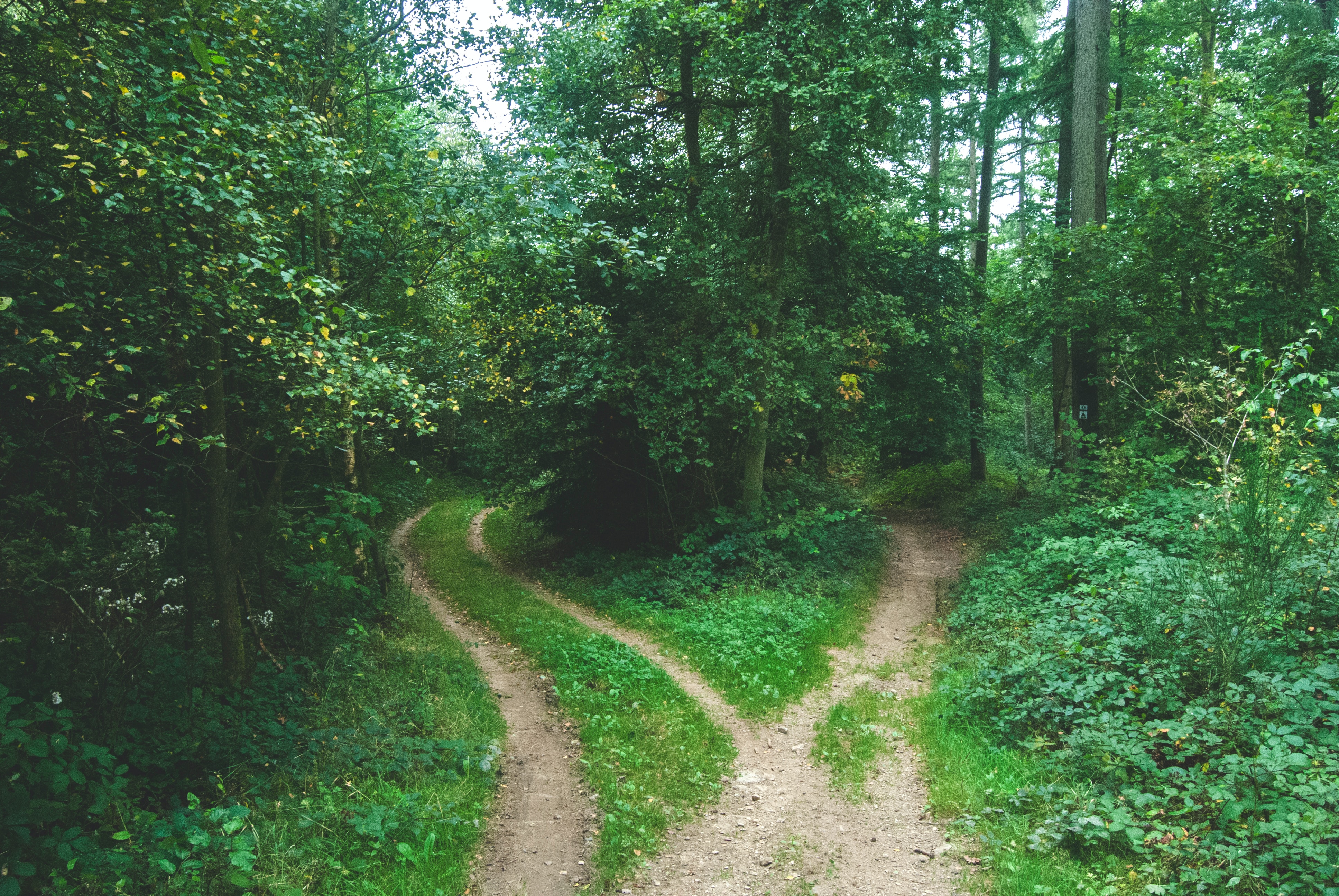 The Path is No Path