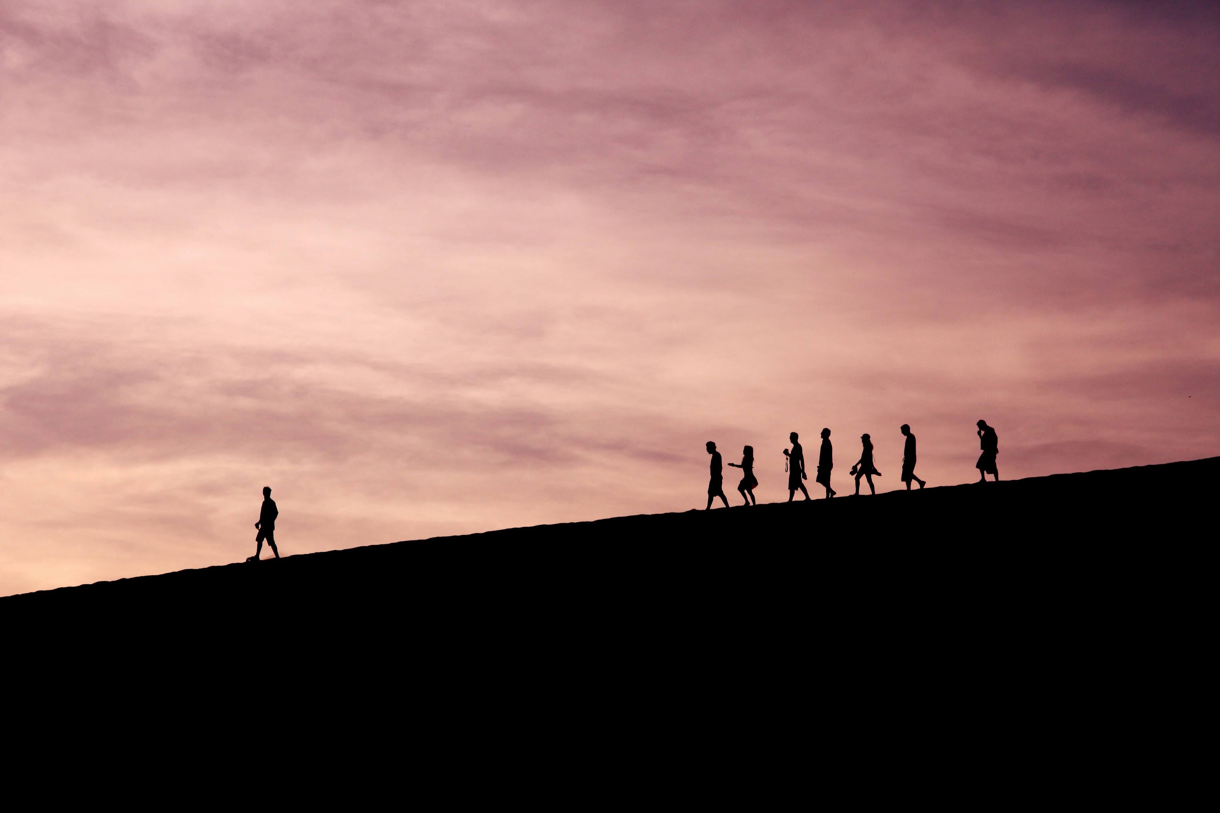 The Leader Ship