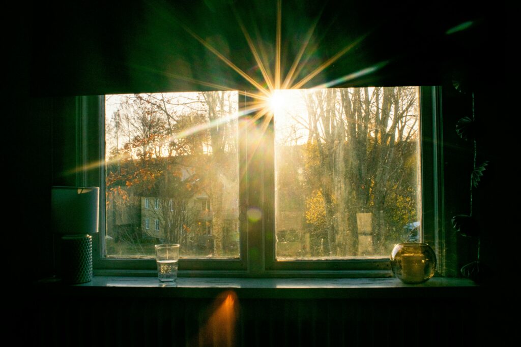 At First Light